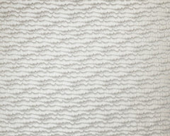 Ashley Wilde Torrent Fossil