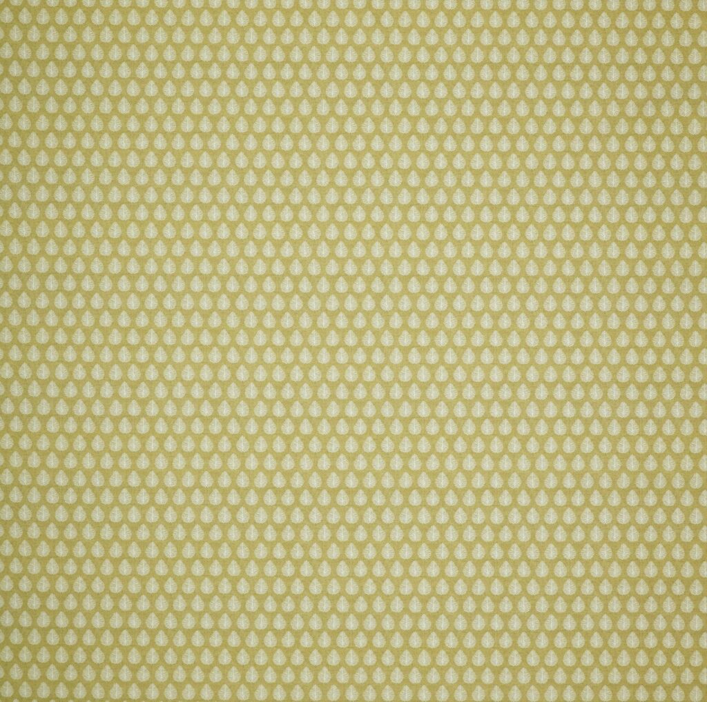 Emily Bond Jaipur Pollen