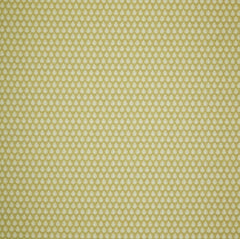 Emily Bond Jaipur Pollen