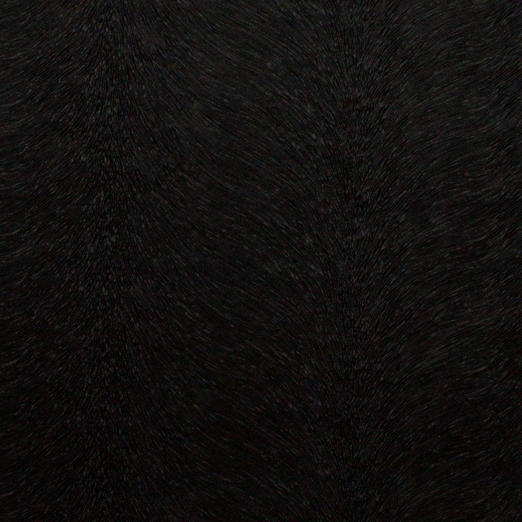 Kai Allegra Coal