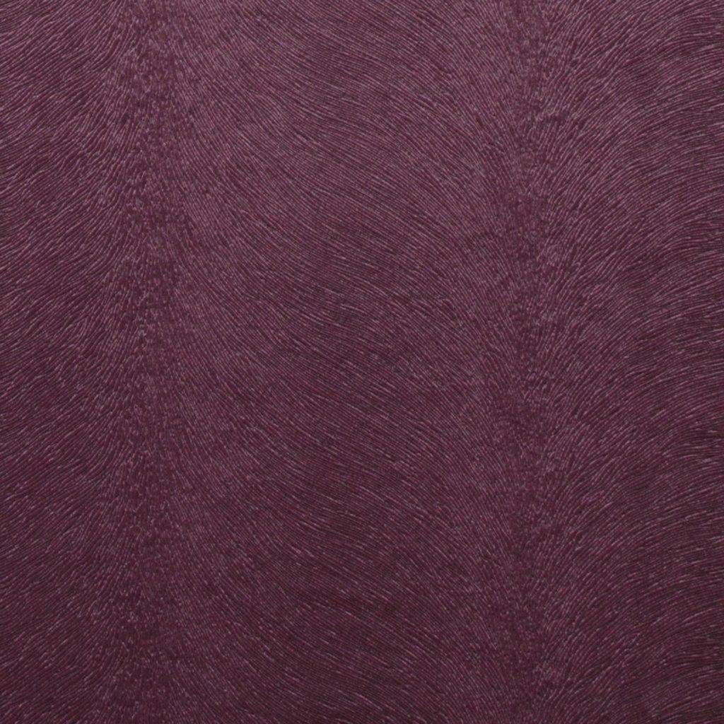 Kai Allegra Heather
