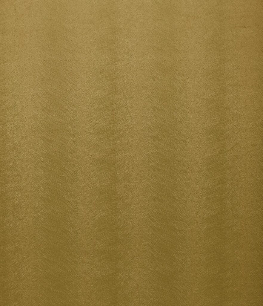 Kai Allegra Ochre