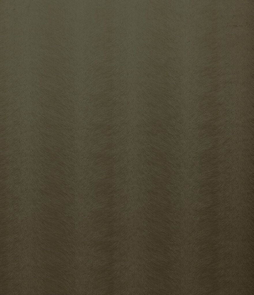 Kai Allegra Olive