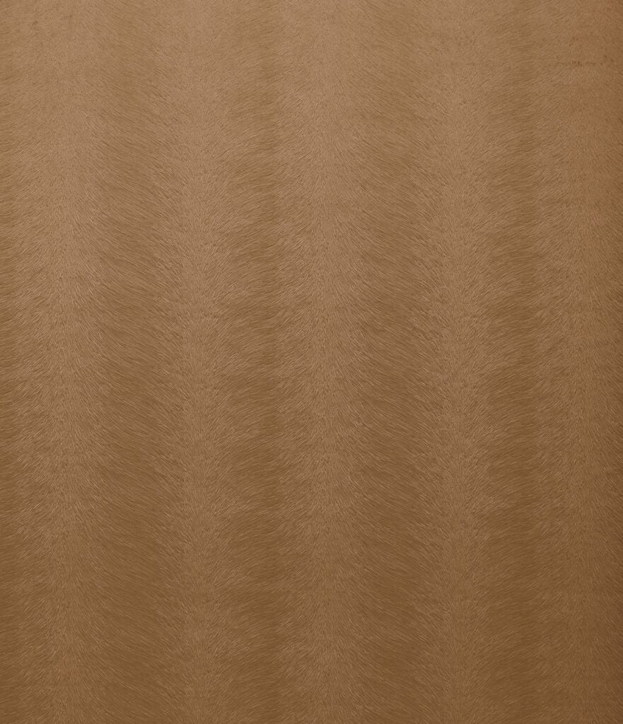 Kai Allegra Plaster