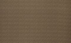 Kai Sika Bronze