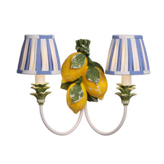 Limon 2 Light Wall Light Yellow and Coconut Bracket Only