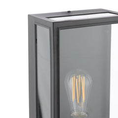 Mazin Outdoor Wall Light Matt Black and Glass IP44