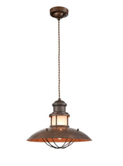 Newton Bronze Pendant