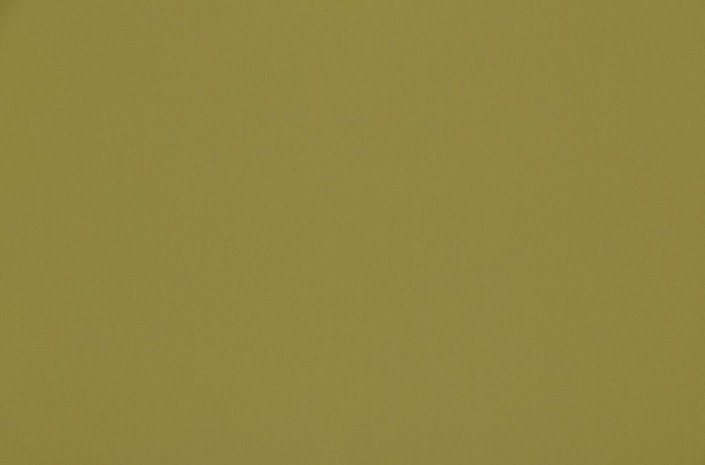Ashley Wilde Omari Lime