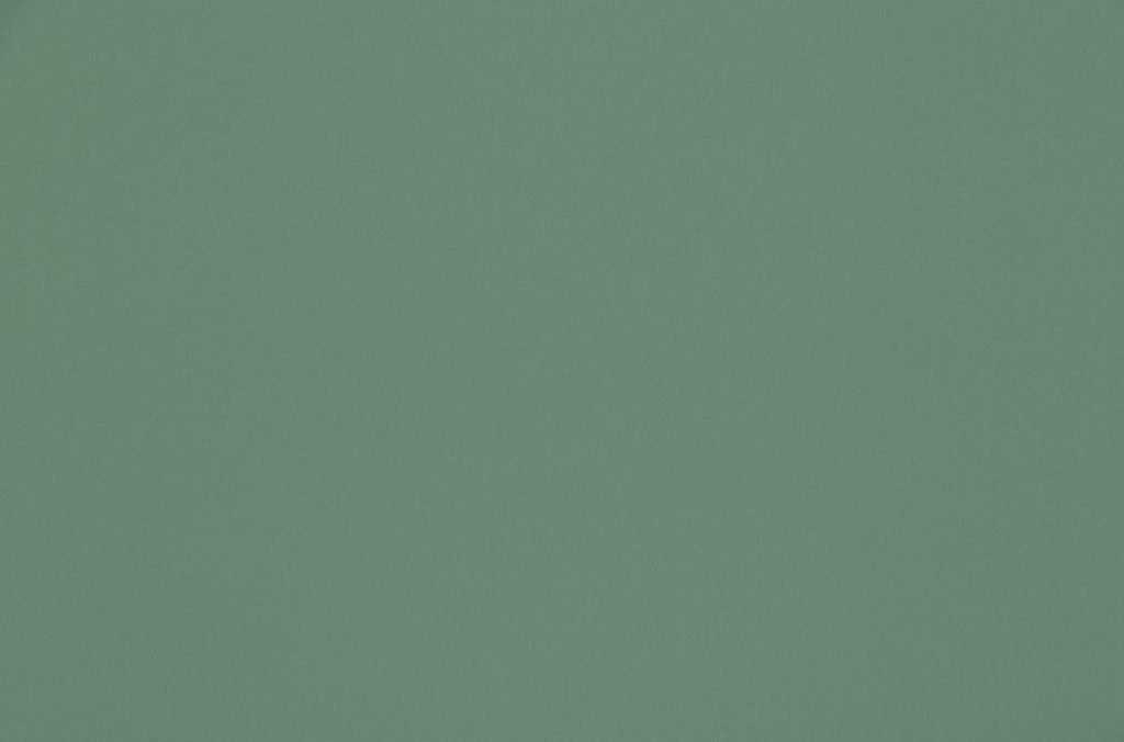Ashley Wilde Omari Mint