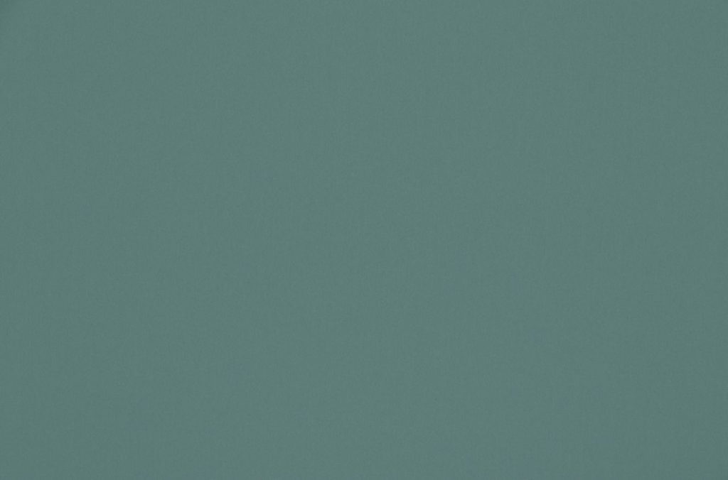 Ashley Wilde Omari Teal
