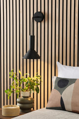 Ragnar Pendant / Wall Light Satin Black