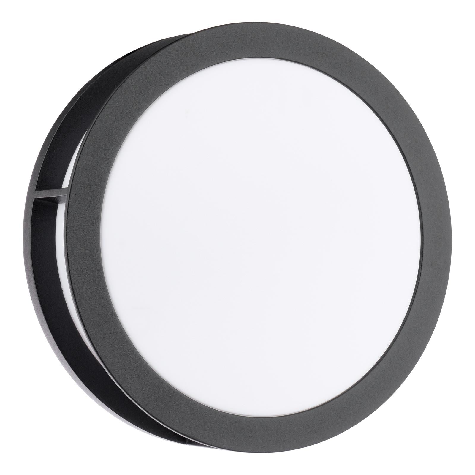 Ratana Outdoor Wall Light Matt Black and Opal IP44