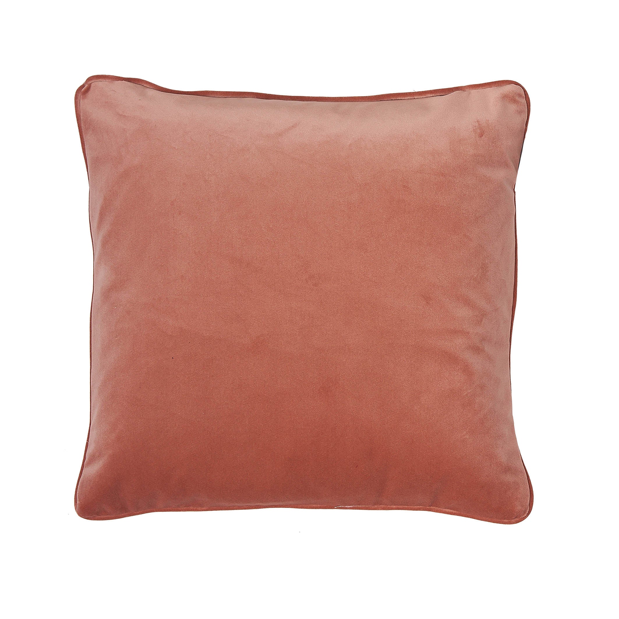 Rue Shell Cushion