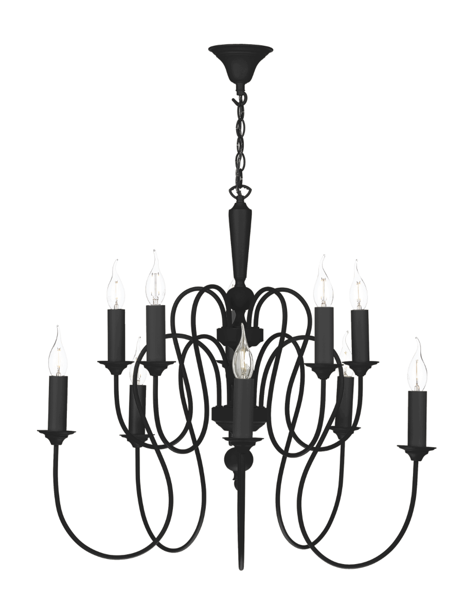 David Hunt Lighting Therese 10 light Chandelier