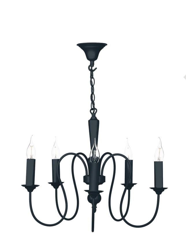 David Hunt Lighting Therese 5 light Chandelier