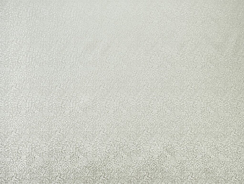 Ashley Wilde Tanzania Ivory