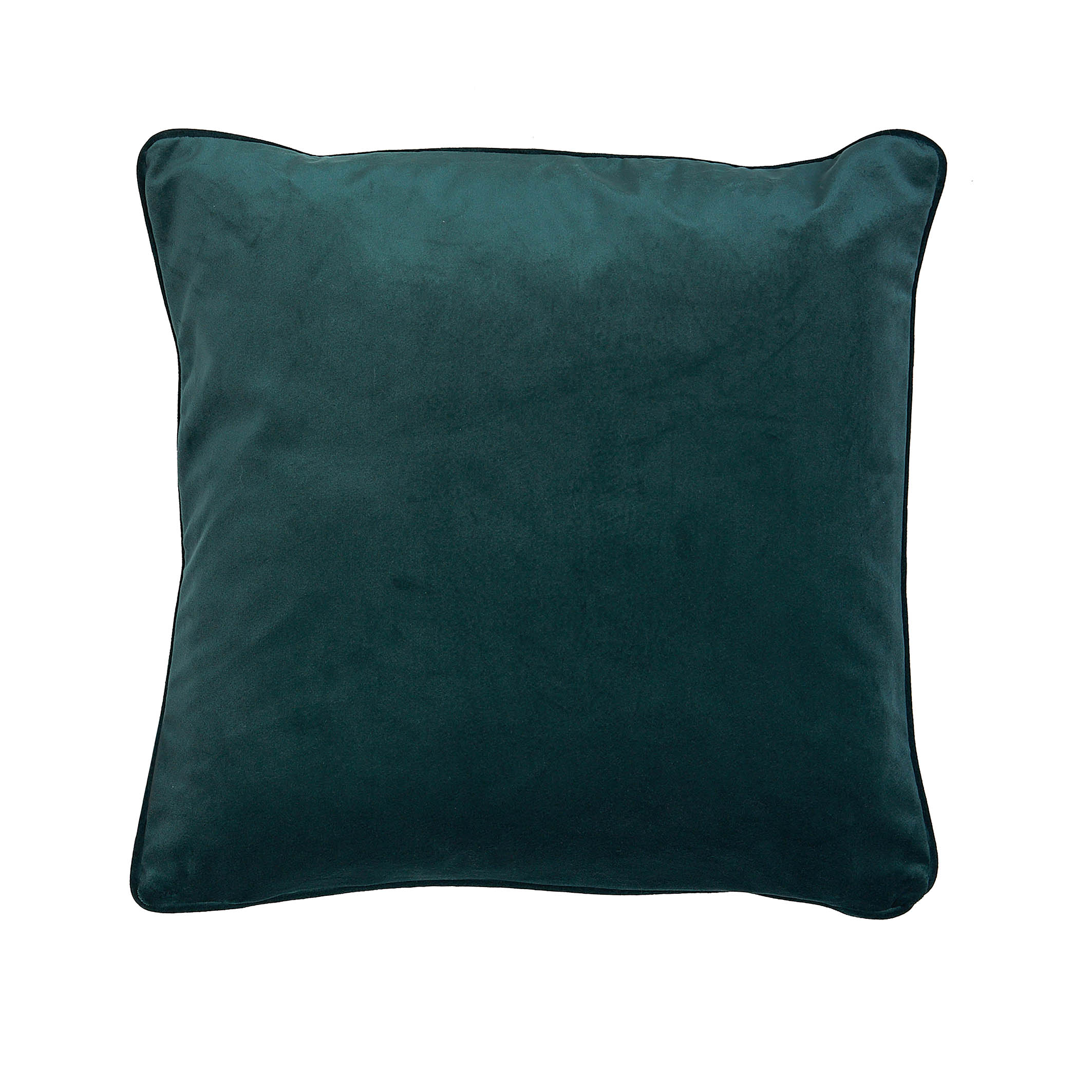 Whispering Grass Peacock Cushion