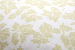 Laura Ashley Lady Fern Ochre Cushion