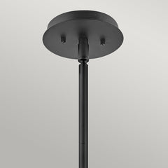Lotus Black Pendant / Semi Flush - Quintiesse Lighting