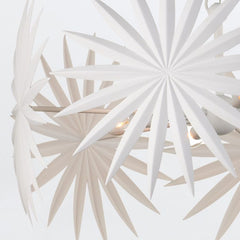 Bismarkia 6 lt Small Chandelier - Gesso White